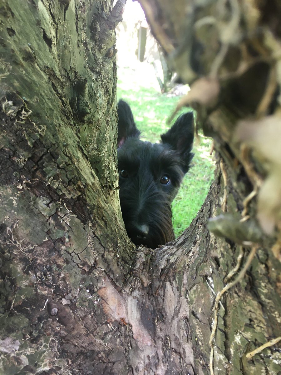 Hi there everybuddy! This is from my early hide n seek days. #ThrowbackThursdays