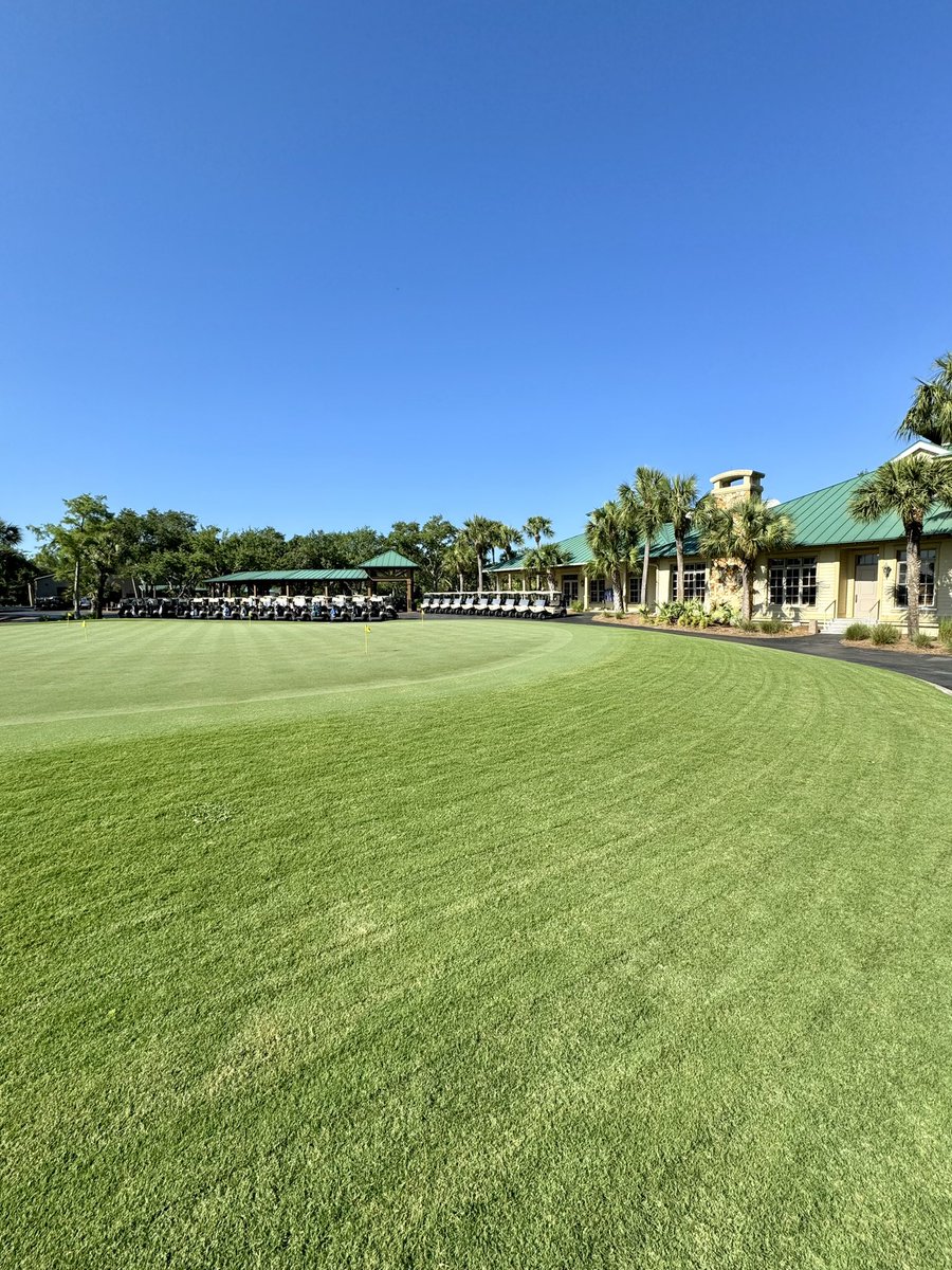 Finishing the 2023/2024 winter golf season strong at #oldefloridagolfclub The @ugatiftonturf #TifTuf, #TifGrand and #TifEagle are all  flourishing We have an end of the year #golf event this afternoon followed by a fish fry @GCSAA @FGCSA #golfcoursesuperintendent #thisismyoffice
