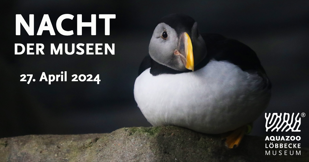 Kreaturen der Nacht

Düsseldorfs echte Nachtschwärmer und viele weitere Kreaturen der Nacht können bei der Nacht der Museen am 27. April 2024 im #Aquazoo entdeckt werden.
duesseldorf.de/aquazoo/aktuel…
