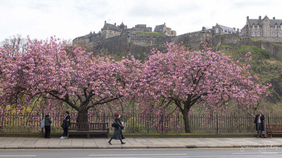 'Edinburgh striding'