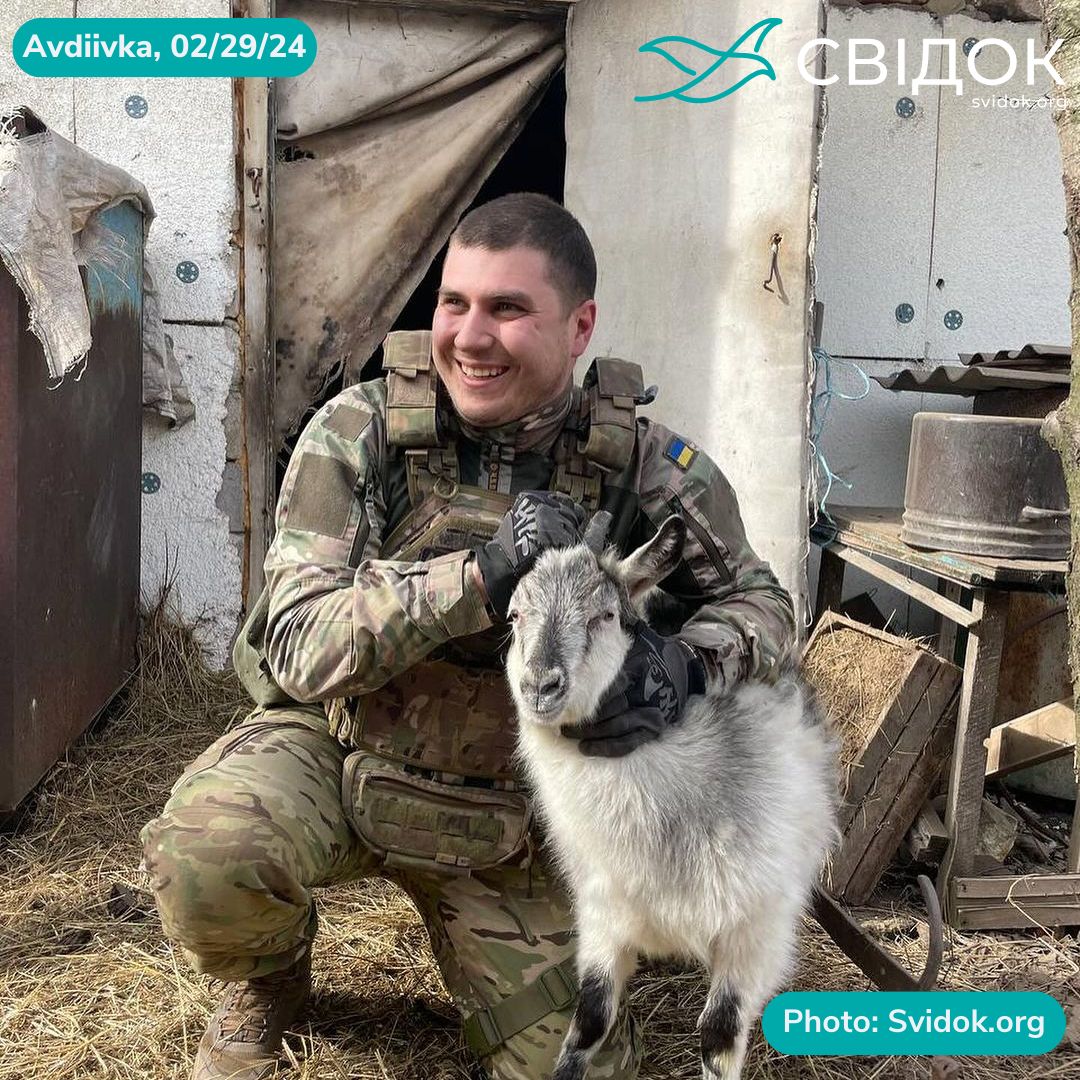 Rescued in Avdiivka: 'Today 40 animals were rescued, including goats, rabbits, dogs and cats. Tires are very much needed. Fragments from the shells cut the wheels, they are all glued over and the next trip we cannot simply go back.' 🔗 buff.ly/4cXQpTX #ukraine #svidok