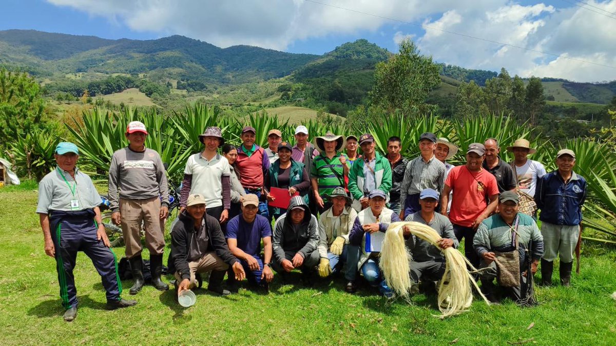 AgroMSectorial's tweet photo. #ConectandoSectores | 💚La Mesa Sectorial de Fique y Otras Fibras Naturales realizó el proceso de Evaluación y Certificación de Competencias Laborales bajo la estrategia #CampeSENA.  Hilo 🧵👇🏻 https://t.co/IqHWiPwfLk