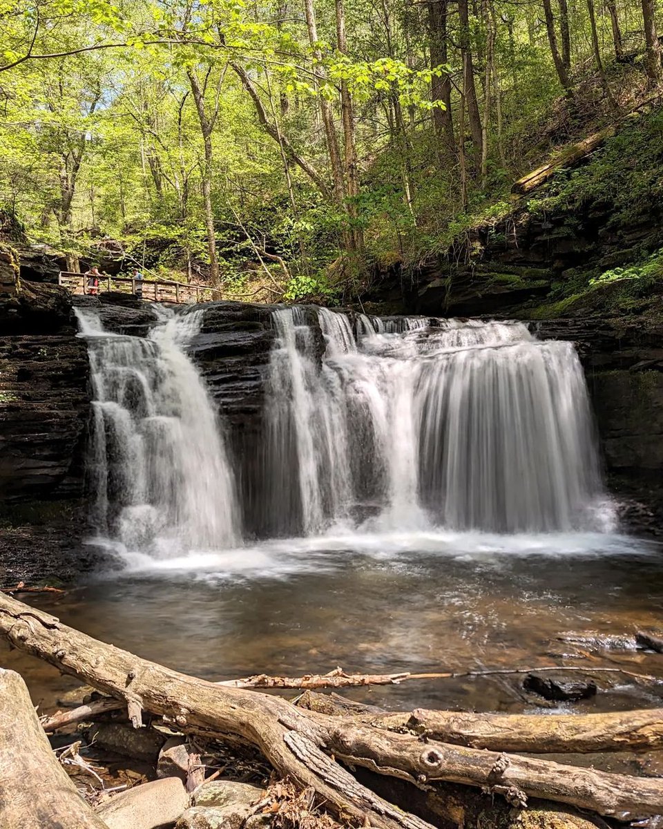 📷Ricketts Glen Falls Trail Loop, Pennsylvania
Would you guess that this is in Pennsylvania?