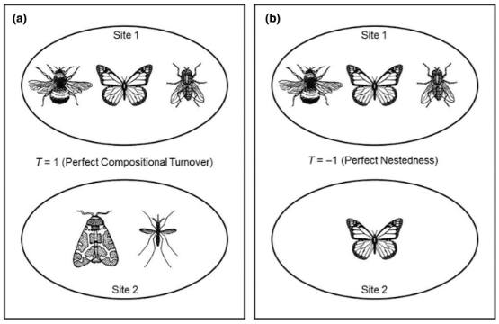 BenjaminJCrain's tweet image. New publication on pollinator specialization in orchids:
besjournals.onlinelibrary.wiley.com/doi/epdf/10.11…