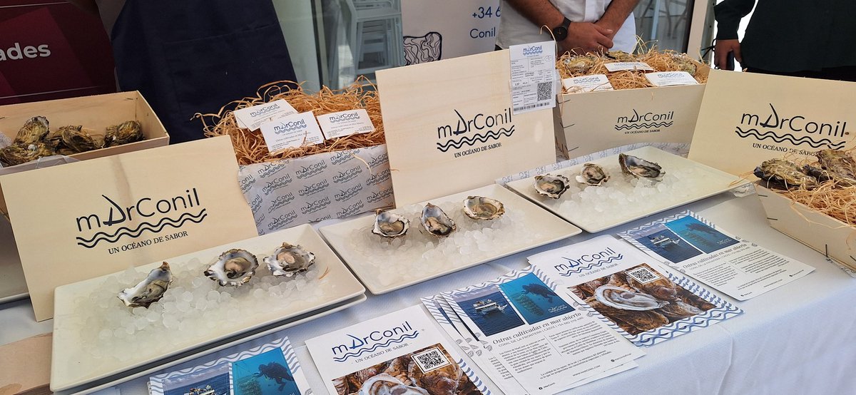 Directores de Hotel #TurismoSomosTodos #50AEDH tweet media