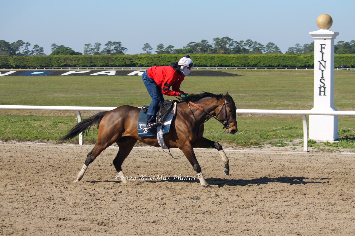 KrisMasPhotos's tweet photo. https://t.co/WDHx24ZC7h