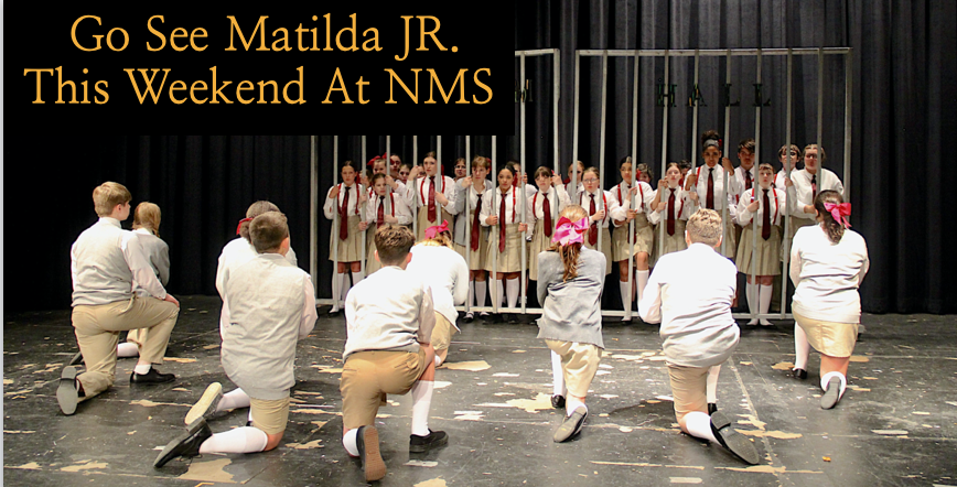 Matilda JR. Is Sure to Please Audiences April 19th & 20th 🎭 newarkcsd.org/article/155761…
