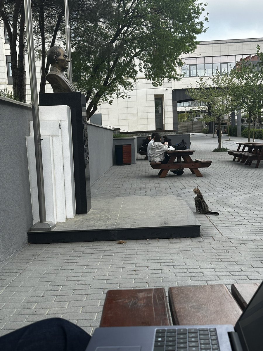 expilictyy's tweet photo. taüdeki tek gerçek Kemalist canlı https://t.co/9fvl6blrvc