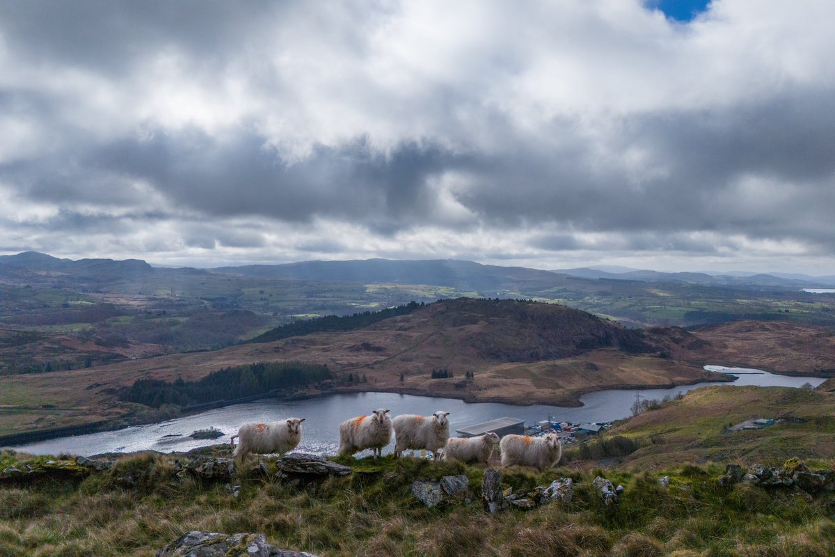 This was my favourite image taken today on our walk up the Stwlan dam, near Tanygrisiau  Reservoir #NorthWales @ItsYourWales @NorthWalesWalks @RamblersCymru @NWalesSocial @S4Ctywydd @StormHour @ThePhotoHour @OPOTY @AP_Magazine @ElyPhotographic