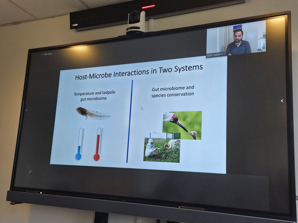Kevin Kohl @KevinDKohl just gave a really interesting talk about how microbiomes can help tadpoles tolerate higher temperatures and FMT be used in captive artificial rearing of whooping cranes. 🐸🐦