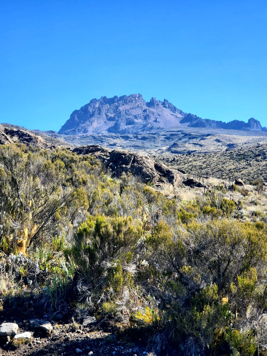 Well done to year 12 pupil Odad who climbed Mount Kilimanjaro earlier this year! Read more about his journey on our website: 👉mgs.org/214/news/post/… #kilimanjaro