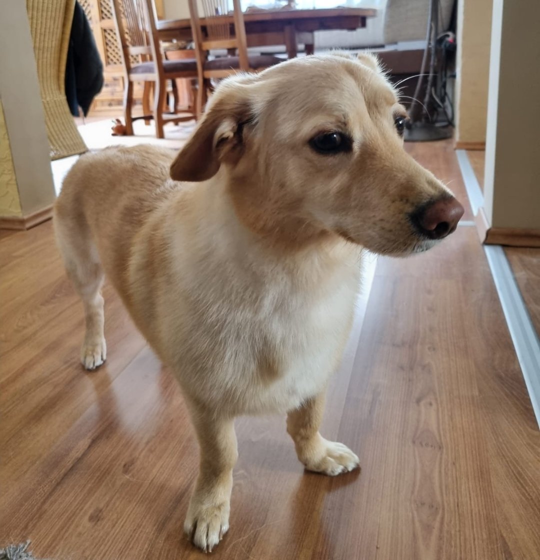 NotKarp's tweet image. Handsome boy