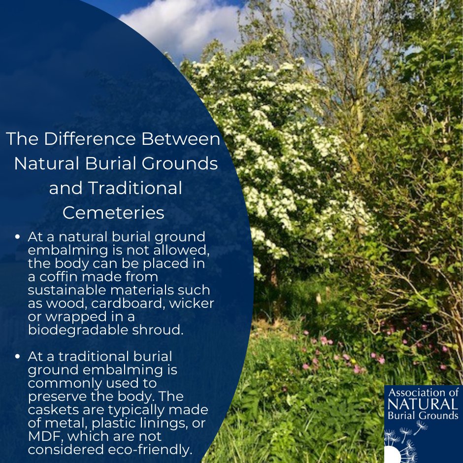 One of the common questions our members are asked is what the difference between natural burial grounds and traditional cemeteries is. We have highlighted some of the differences between the two to help families make an informed decision. #greenfuneral #ecoburial #naturalburial