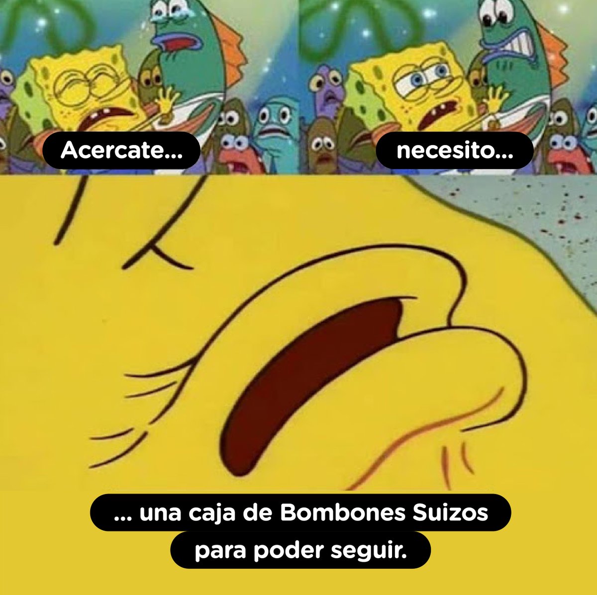 GridoHelados's tweet image. Vos también necesitás una caja de bombones suizos, no importa cuando leas esto. 🤩

#Grido #GridoHelados #BombónSuizo