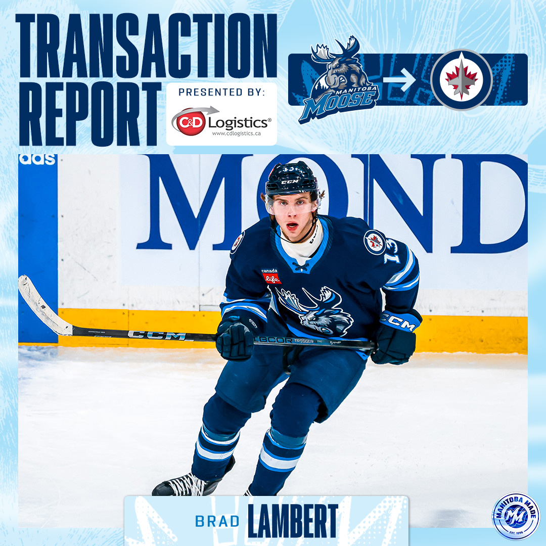 Manitoba Moose tweet media