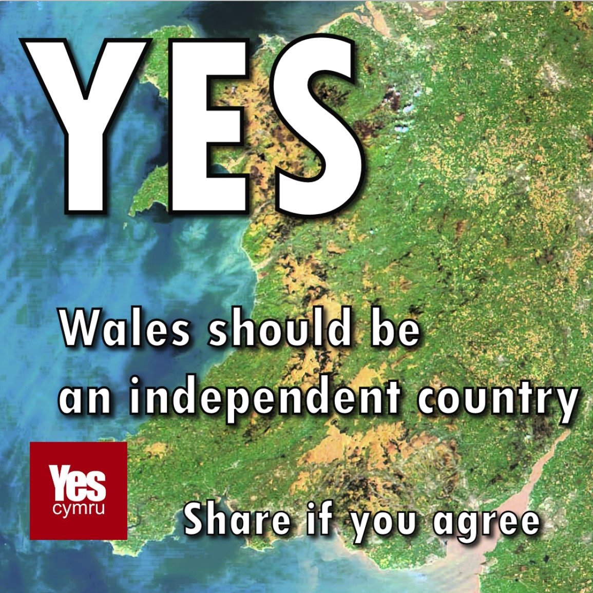 If you agree, let's share this one all over Twitter! #IndyWales @80_mcswan