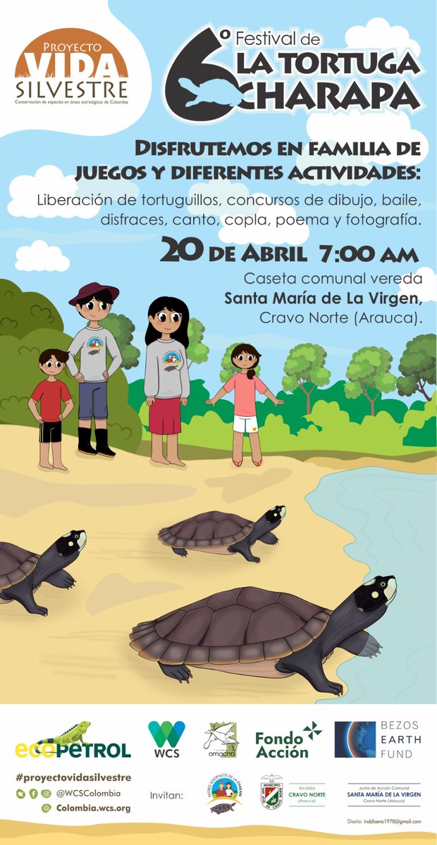 🐢 ¡Llega un nuevo festival de la tortuga charapa! La comunidad de Santa María de La Virgen, en Cravo Norte (Arauca), celebra su trabajo por la #conservación del amenazado reptil. #ProyectoVidaSilvestre 🐢 📆 20 de abril