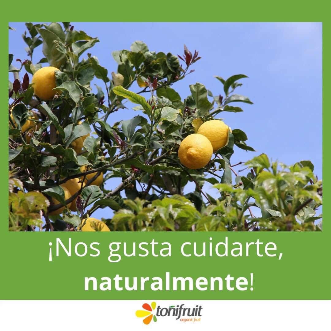 Toni_fruit's tweet photo. 🌱 Todos nuestros productos son #ecológicos. Directos del campo a tu casa. 🤝 

🌟 Sus ventajas son numerosas y queremos que las disfrutes.

✅ Son más sabrosos.

✅ Son respetuosos con la naturaleza.

✅ Tienen los máximos niveles de calidad.

✅ Son saludables. https://t.co/Om4VLvUEHH