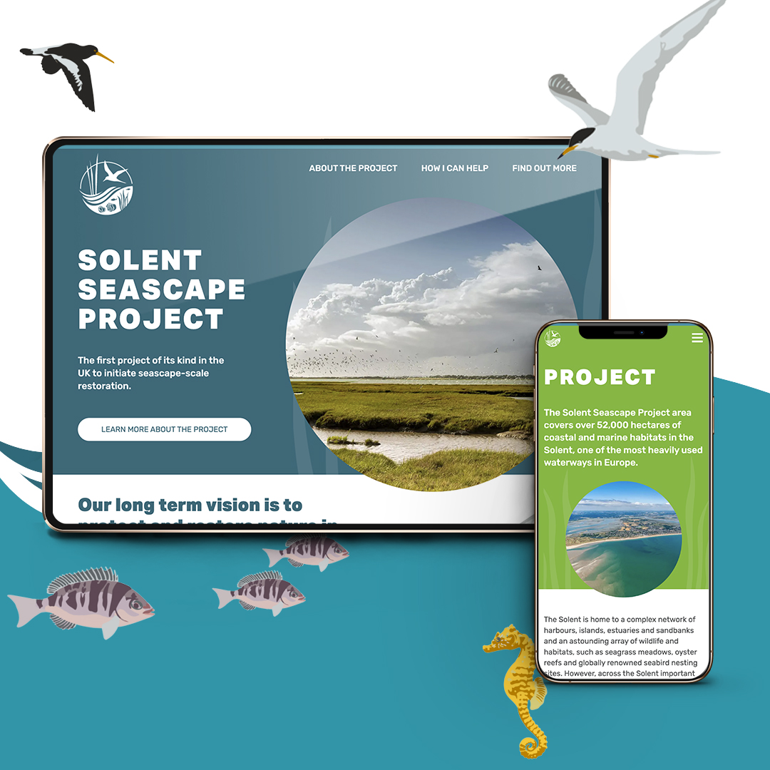 🌊Solent Seascape Project - Website Live!🌊 We are incredibly proud to be a partner in the Solent Seascape Project - an ambitious and collaborative project to restore the Solent's marine habitats. Dive in right here 👇 solentseascape.com