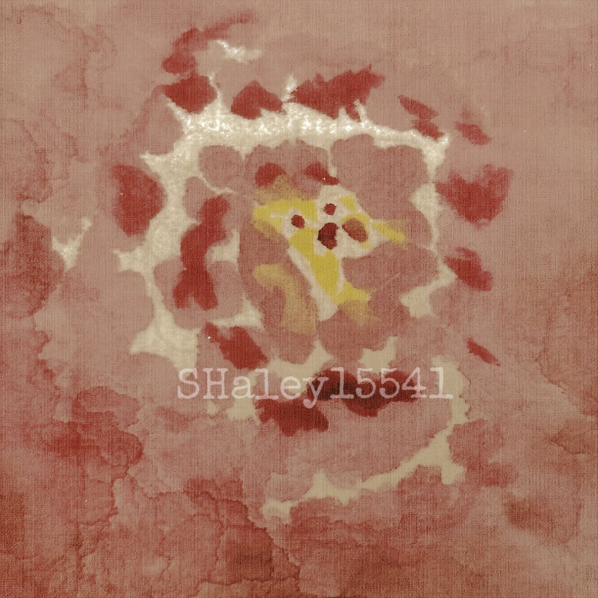 SHaley15541's tweet photo. 红色是欲望 https://t.co/oq5xky7Ifc