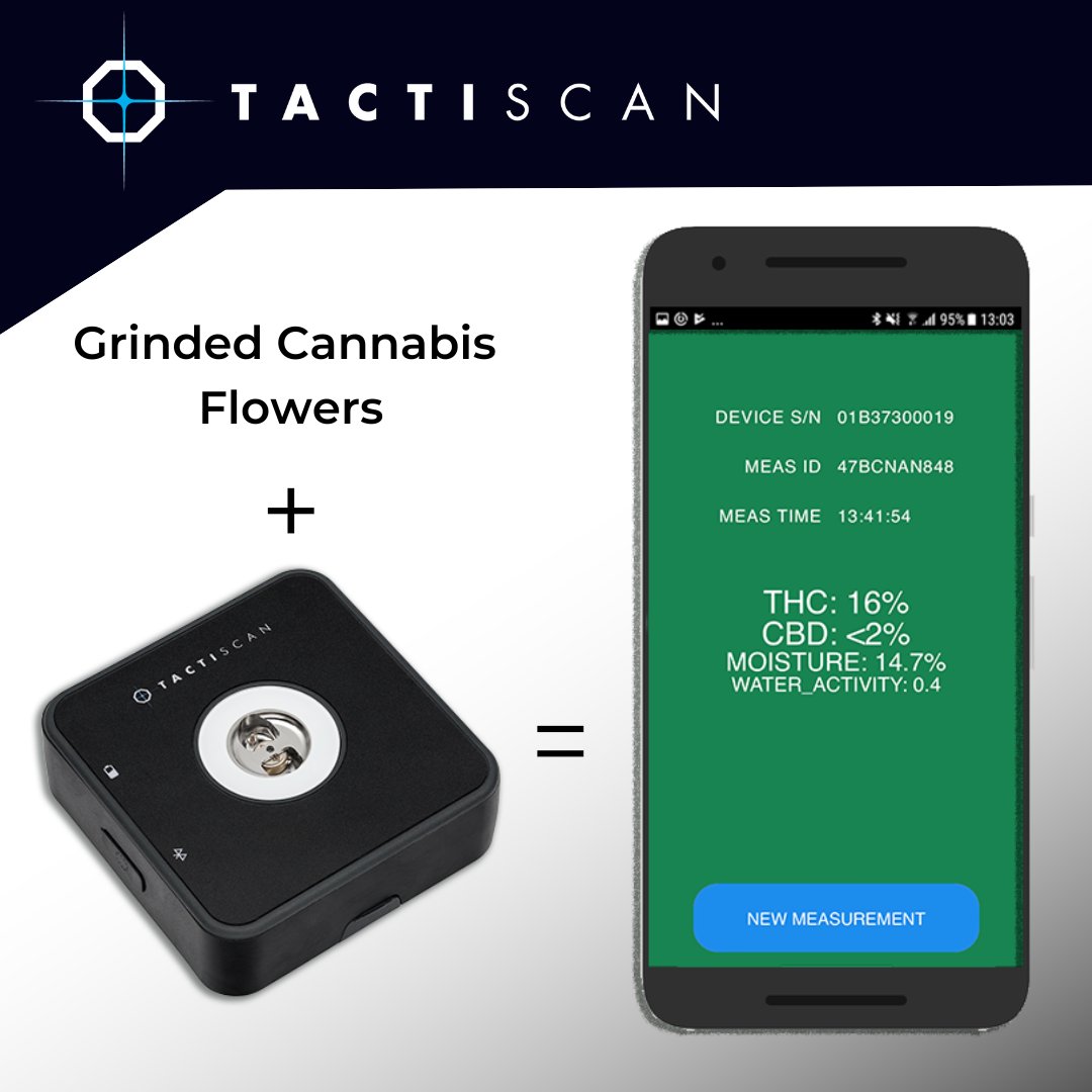 TactiScan's tweet image. How can law enforcement authorities determine the THC content of cannabis directly on site? Simple: Grind the flower, place it on the TactiScan and measure it via app. ☑️
🔬👮🏻

tactiscan.com

#police #polizei #zoll #customs #drugscreening #btm #cannabis #thc 
#nynomic