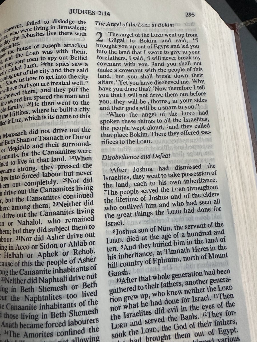 end islam 🤡 tweet media