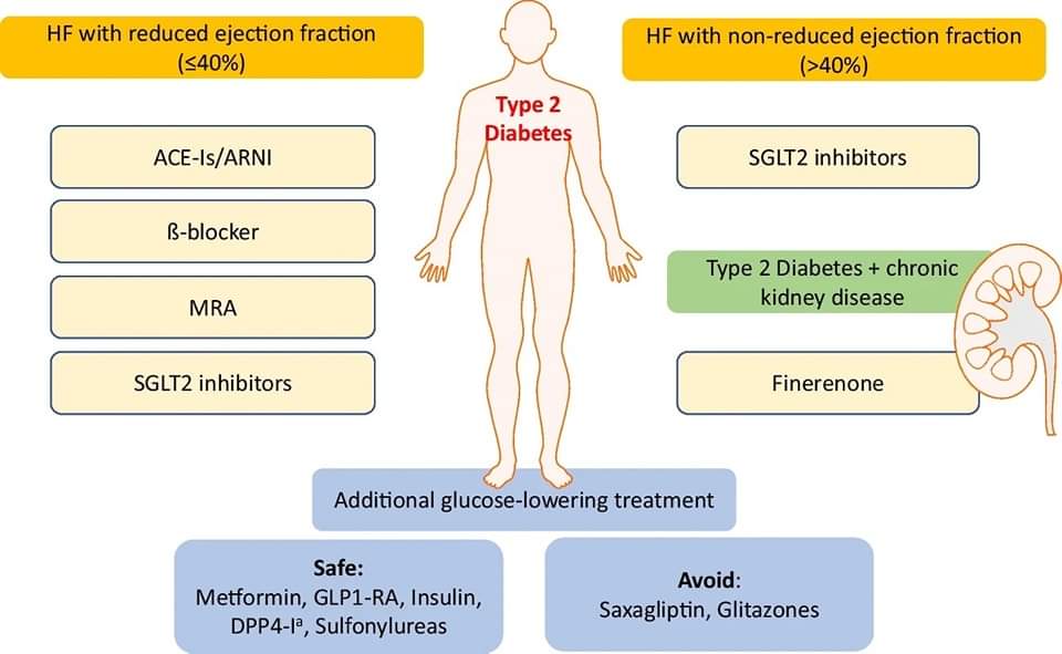 🔴 Rethinking the Impact and Management of Diabetes in Heart Failure Patients #openaccess #2023Review 
 
link.springer.com/article/10.100…
#CardioEd #Cardiology #FOAMed #meded #MedEd #Cardiology #CardioTwitter #cardiotwitter