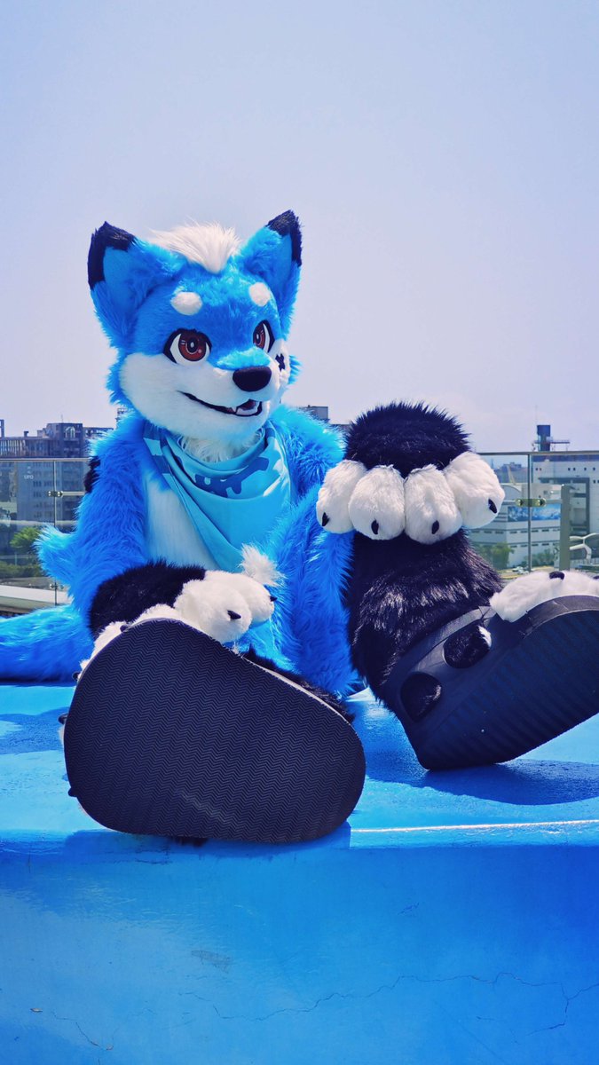 I feel blue. 📷@kumazlia #FursuitFriday #fursuit #FurryTeaParty2024