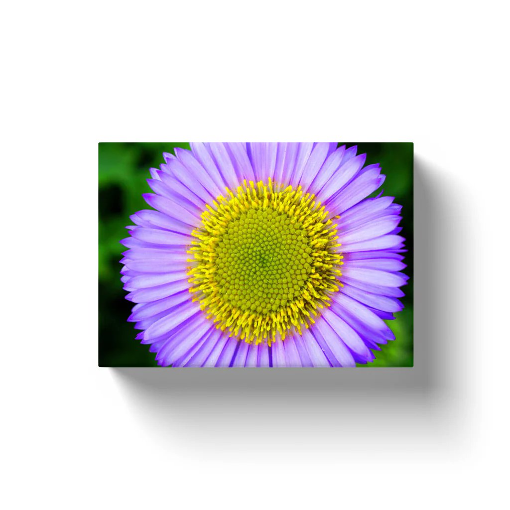 'Transform your space with our vibrant Purple Flower Canvas Wraps! Add a pop of nature-inspired color to any room. #CanvasArt #HomeDecor'

printsbynatehart.com/collections/ma…