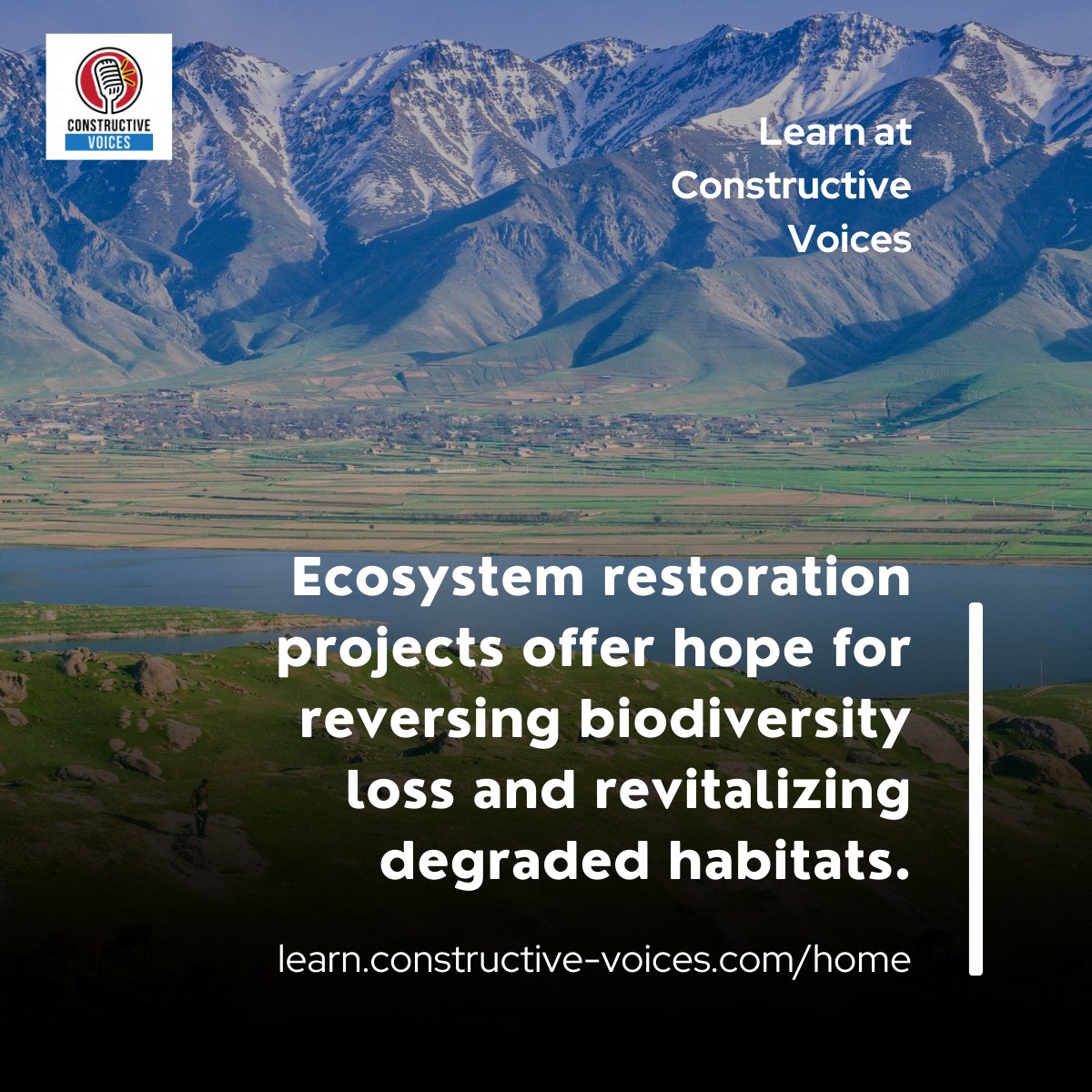 'Ecosystem restoration projects offer hope for reversing biodiversity loss and revitalizing degraded habitats.' #biodiversity #biodiversitynetgain #training - learn.constructive-voices.com/home/