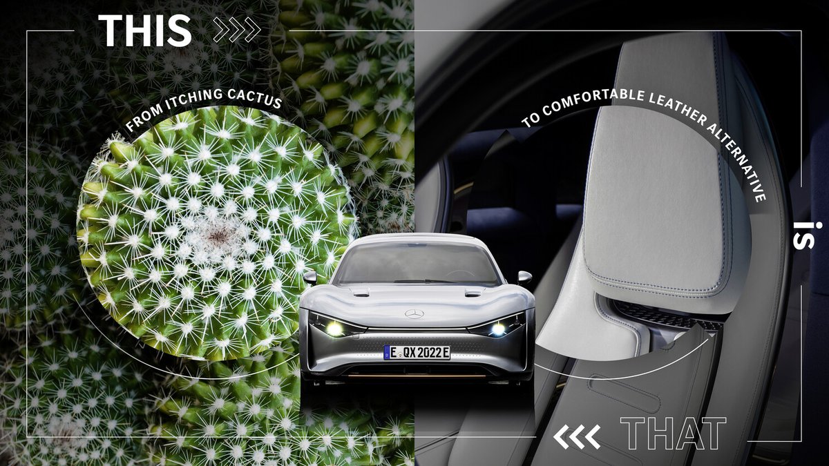 Mercedes-Benz is researching animal-free alternatives to genuine leather, aiming to conserve resources and provide top-quality luxury. The alternatives include renewable materials like powdered cactus fibers and mycelium, elevating the luxury standard. #MercedesBenzIndia