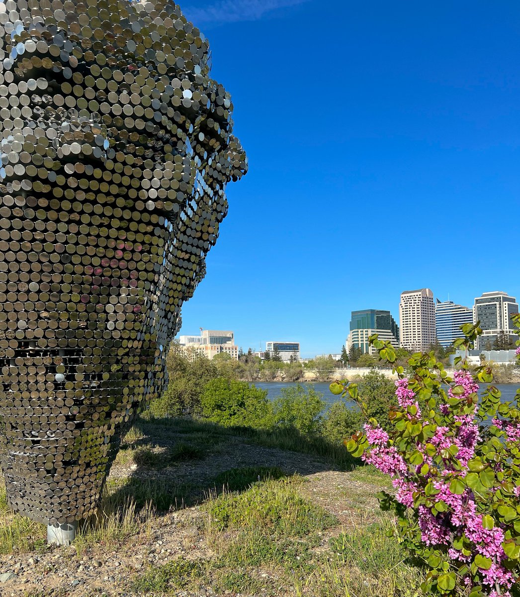 Uncover #Sacramento's beauty! 🌳 Walk, bike urban trails, raft the American River this #summer. ☀️ Discover more @VisitSacramento: hil.tn/5gg6ml

📸: 'Subtile' Sculpture 📍 Sacramento River Walk