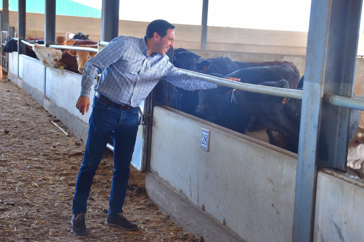 Diputación de Cuenca tweet media