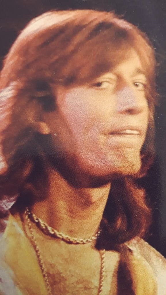 Robin photo of the day. He looks like he's up to something.😂♥️#robingibb