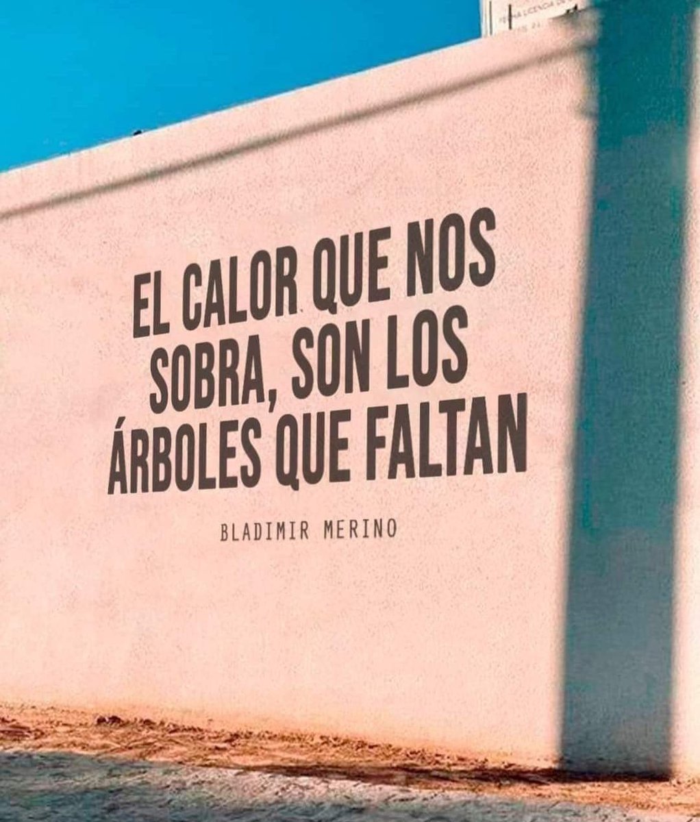 Vladimir Arriaga tweet media