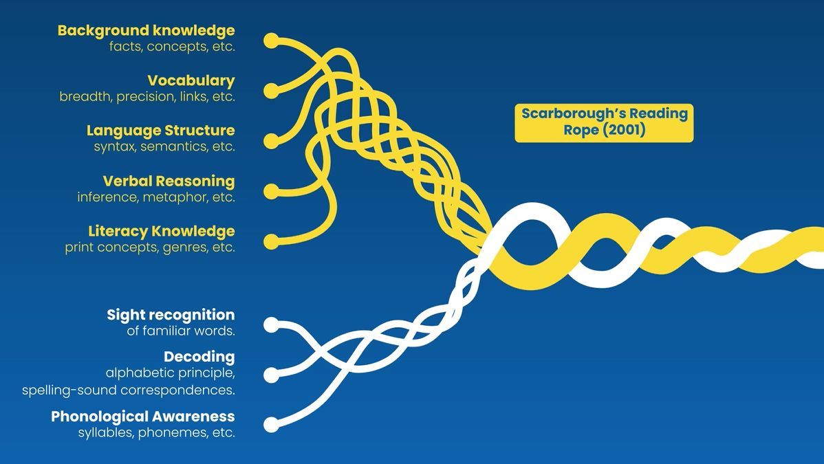 Built on the Science of Reading, Lexia Core5 promotes the acquisition of Word Recognition and Language Comprehension. 

Watch our video to see how our program builds on the principles of Scarborough's Reading Rope: buff.ly/3Vbvnej 

#UKEdChat #ScienceOfReading #Literacy