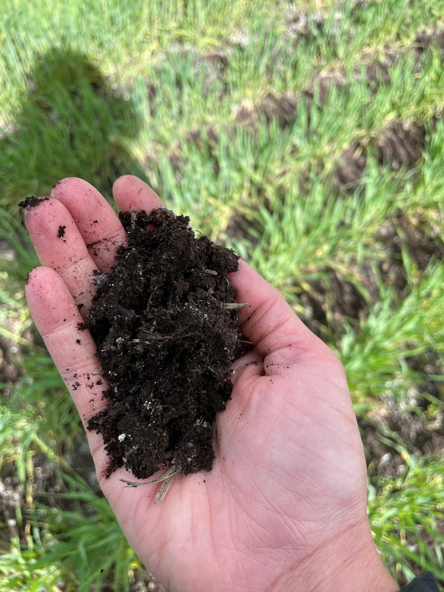 swatmaps's tweet photo. Step 1️⃣: Collect the data.
Step 2️⃣: Receive your SWAT MAP.
Next? Groundtruthing.
This critical step allows your agronomist to determine the correct layers in the #SWATMAP. Does this map represent this field accurately? What about peat?
Read👉 https://t.co/xYcrRktKbU
#SWATMAPS https://t.co/dszIkrMEVv