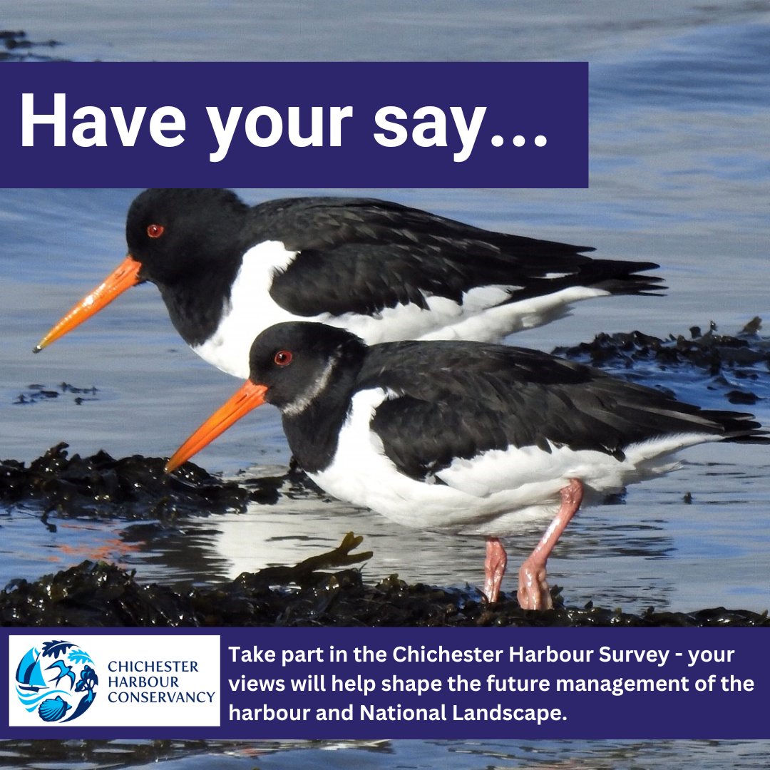 Chichester Harbour Survey - we would like to hear your views.  The results of the survey are important and will help to shape the management of Chichester Harbour into the future.

Click here to take part 👇
surveymonkey.com/r/CHCsurvey2024
