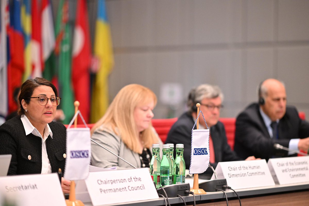 In a challenging year for the #OSCE area and beyond, exacerbated by Russia’s ongoing war of aggression against #Ukraine, EU🇪🇺 commends the flexibility of the three Committees in adapting their programme to address the most pressing and relevant issues eeas.europa.eu/delegations/vi…