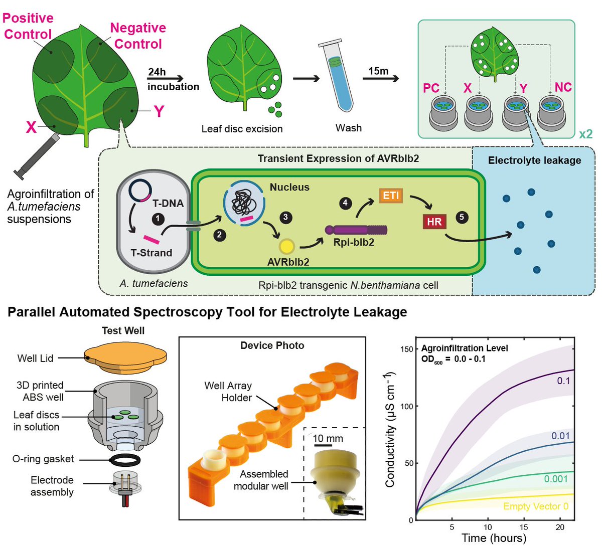 With great excitement, we would like to share our most recent work which was published in Advanced Science @AdvSciNews #Plant #health #Engineering #biotech #AI