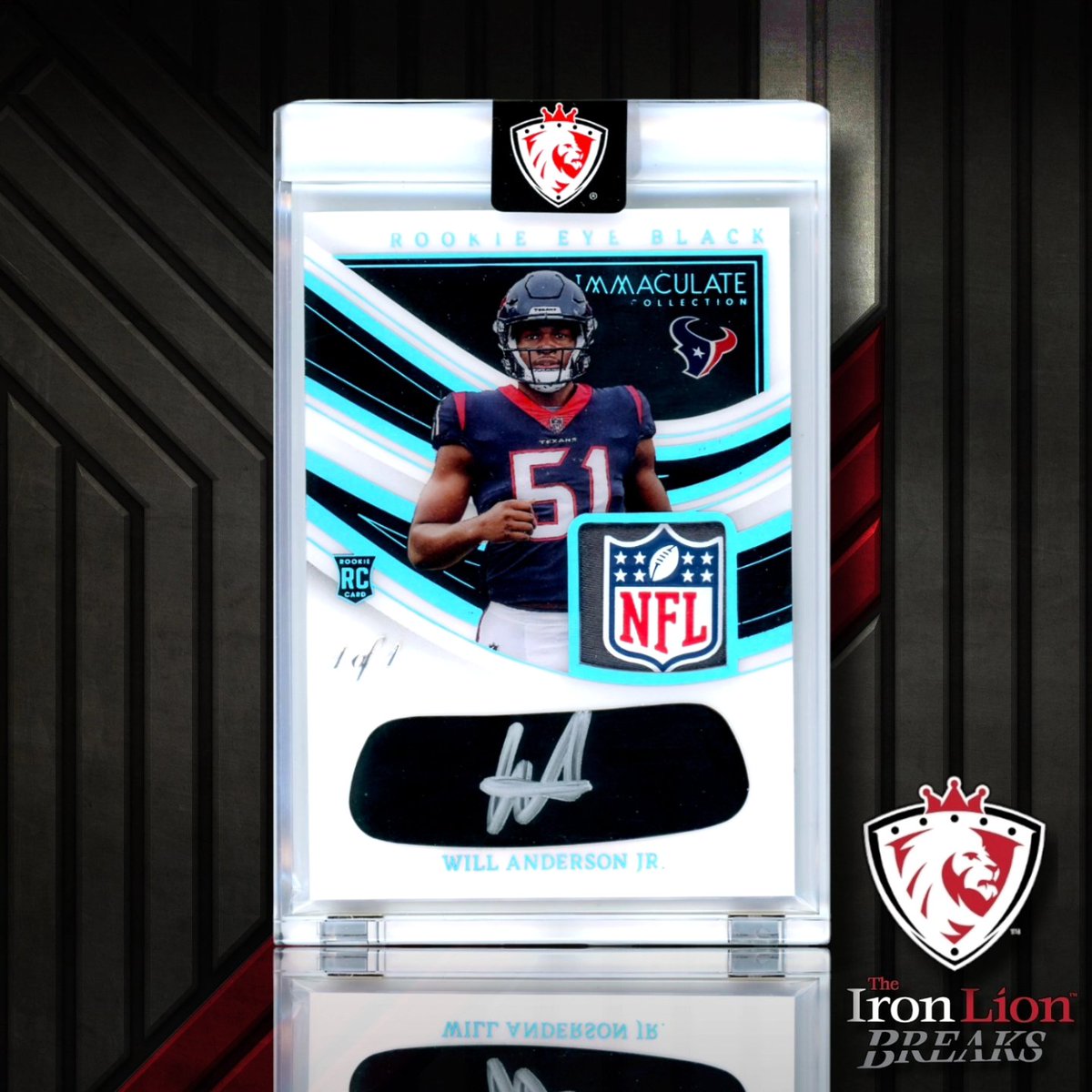 Ironlioncollect tweet picture