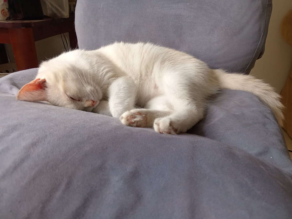 Alvaro Mayorga tweet media