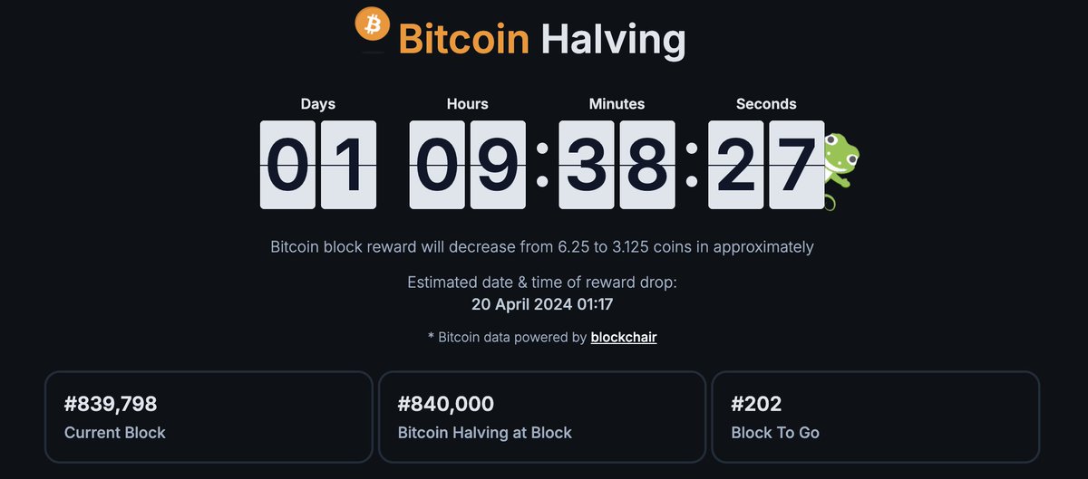 GeckoTerminal's tweet photo. #Bitcoin only 33 hours remaining! 🍻 https://t.co/c4z7qXPJM9