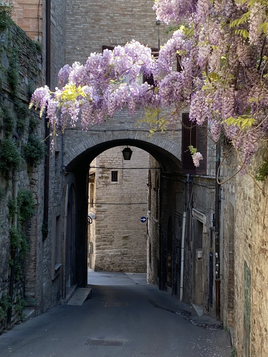 HughesPhotog's tweet photo. Beautiful Perugia #italy #perugia #umbria https://t.co/oZNUUpzCSm