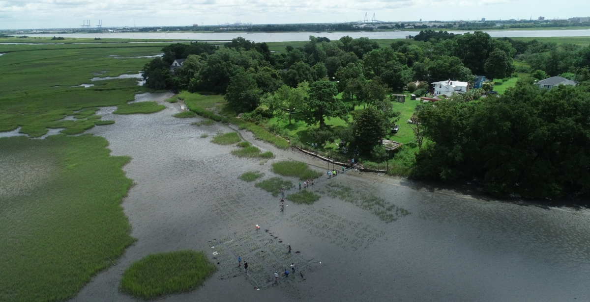 Another great example of community-fueled research comes out of the @KostkaLab, who is working with local communities in Charleston, S.C. to create community-driven solutions to improving coastal resilience. #GTClimateFrontiers Read more at cos.gatech.edu/maryville-mars…