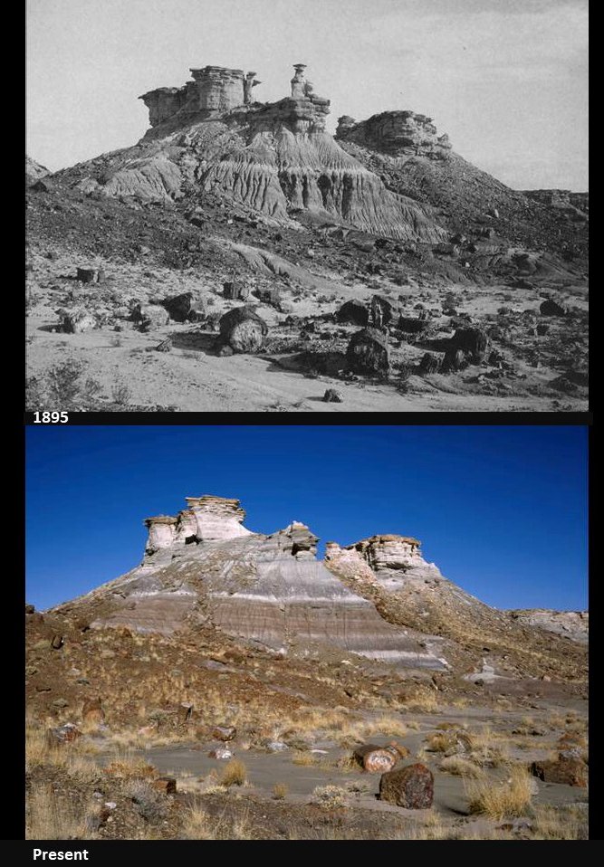 The Snow Lady was a geological feature in Jasper Forest along the old loop road. The small sandstone pinnacle was often found in photos and postcards in the first half of the 20th century. Its demise was first noticed in March 1953. (hl) #tbt #thenandnow #ThrowbackThursday