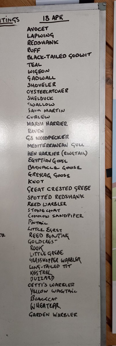 Hen Harrier, Yellow Wagtail, Garden Warbler. Mediterranean Gull and Wheatear were just some of the great highlights from today. #sightings Please note that we will not open until 09.30 tomorrow to allow pothole repairs to take place.