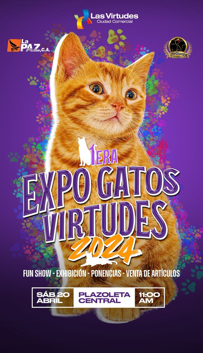 Los espero en las Virtudes ! 7.00 pm estaremos conversando sobre la Gatoterapia como alternativa Terapéutica y sus beneficios emocionales !