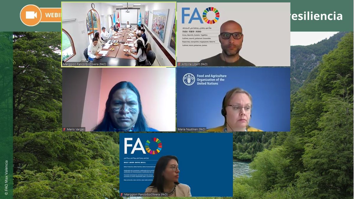 #Publicación En el webinar de la @FAO “Bosques y árboles construyendo resiliencia” se presentó el reporte Forest-based adaptation: transformational adaptation through forests and trees”🌳🌳🌳 Pueden descargalo aquí: fao.org/documents/card…