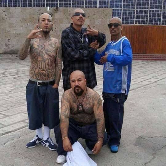 Mubastition's tweet photo. @Rainmaker1973 Meanwhile my Cholo dawgs https://t.co/bz5pDnAOHV